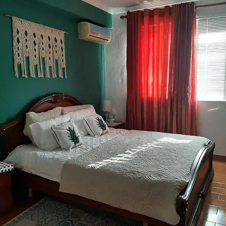 Cosy * Shkoder